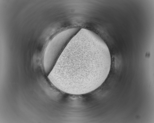 X0000113210712200910221102