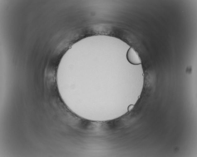 X0000113210713200910221102