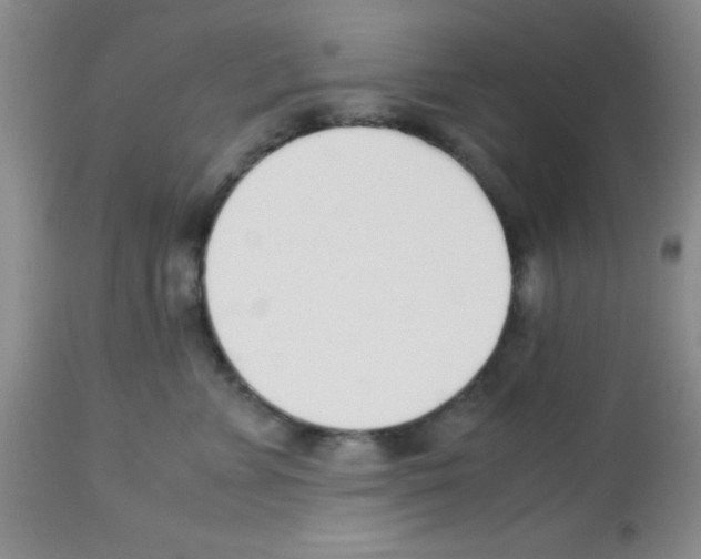 X0000113210715200910221102