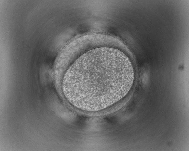 X0000113210716200910221102