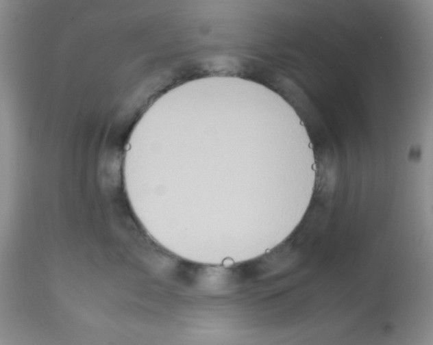 X0000113210717200910221102