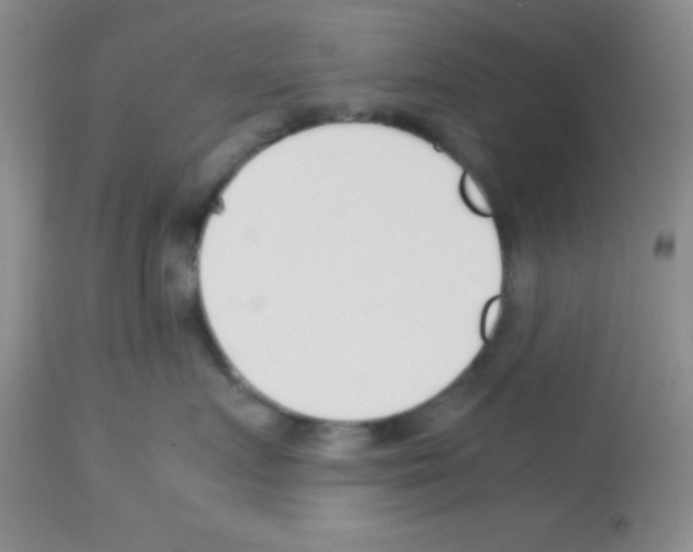 X0000113210719200910221102