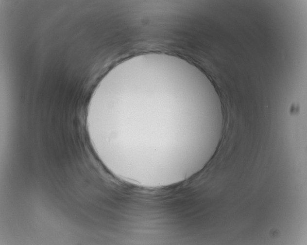 X0000113210720200910221102