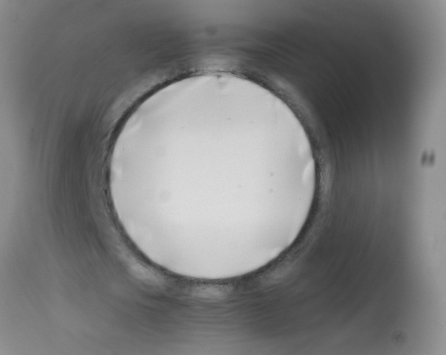 X0000113210721200910221102