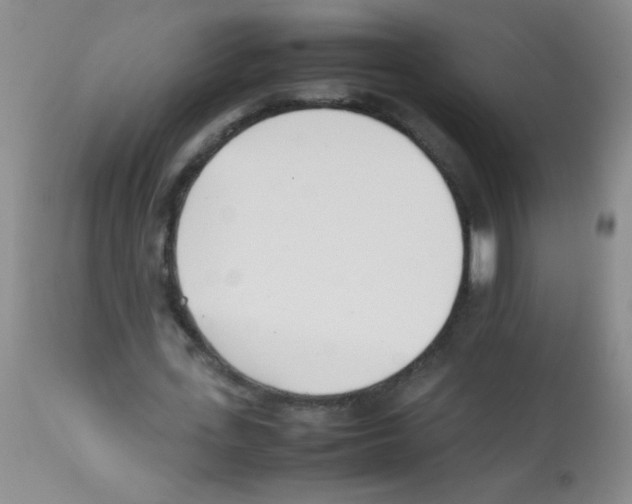 X0000113210723200910221102