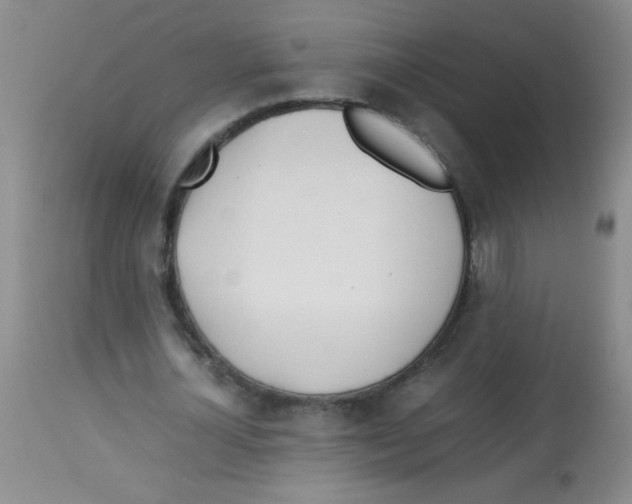 X0000113210724200910221102