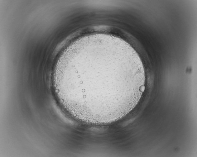 X0000113210725200910221102