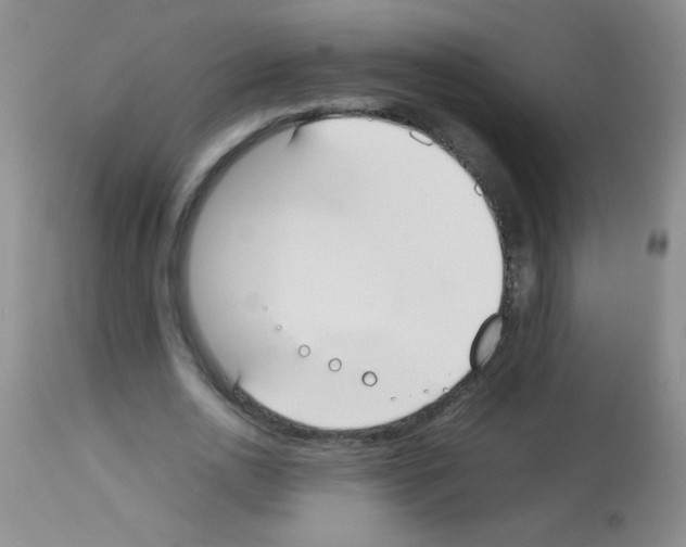 X0000113210726200910221102