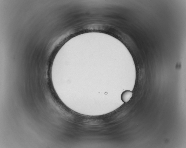 X0000113210727200910221102