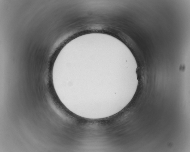 X0000113210728200910221102