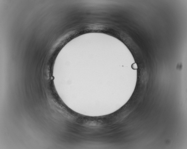 X0000113210731200910221102