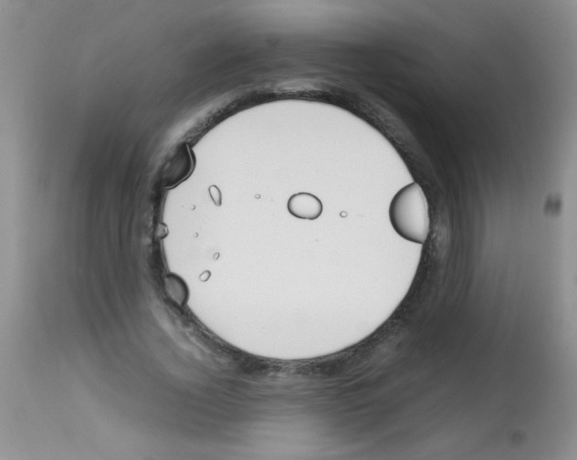 X0000113210732200910221102