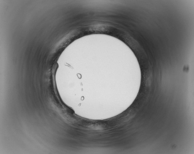 X0000113210735200910221102