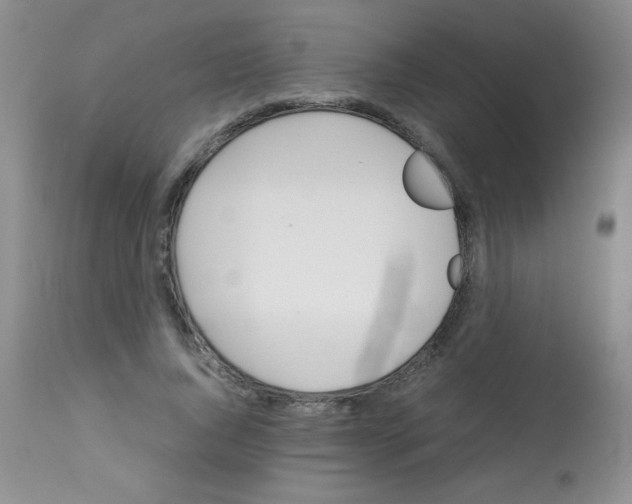 X0000113210736200910221102