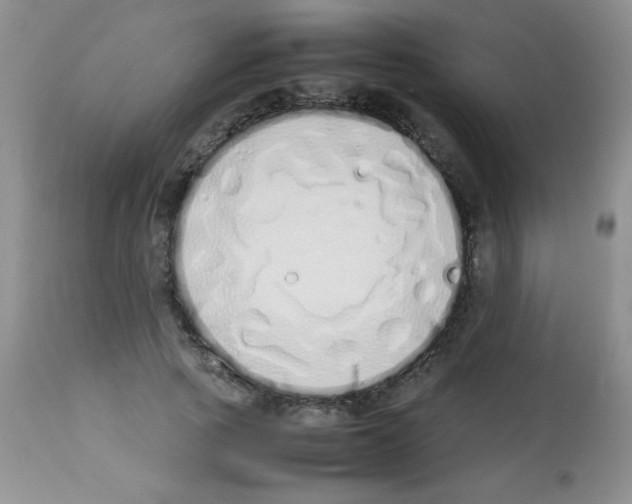 X0000113210737200910221102