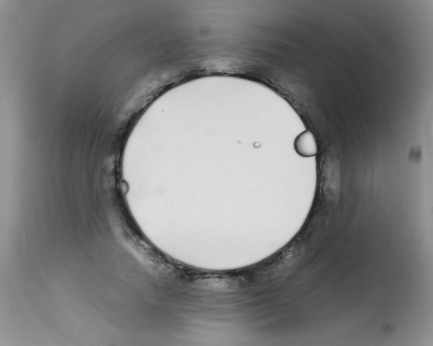 X0000113210738200910221102