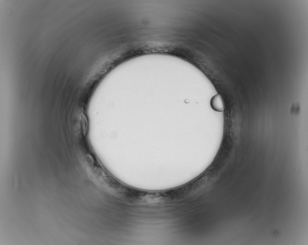 X0000113210742200910221102