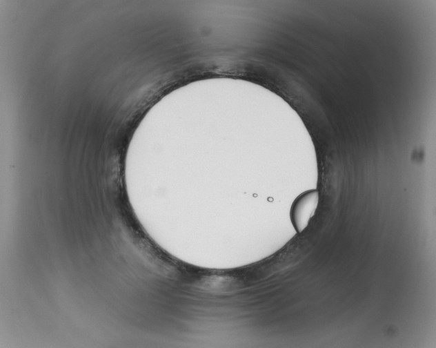 X0000113210748200910221102