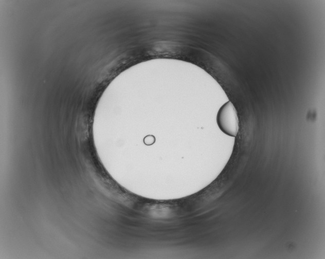 X0000113210751200910221102