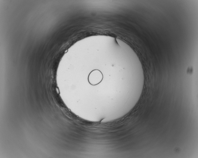 X0000113210752200910221102