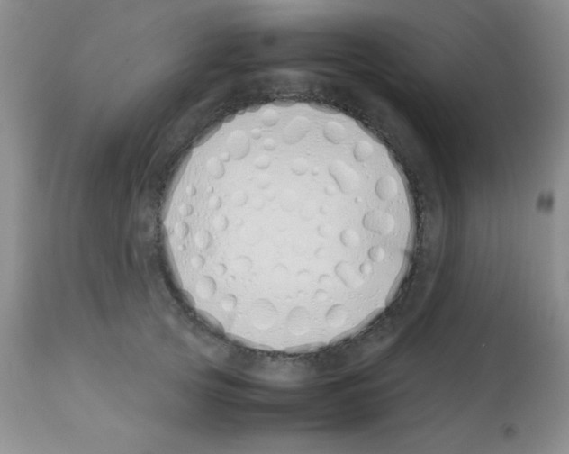 X0000113210753200910221102