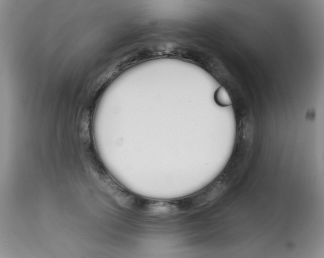 X0000113210754200910221102