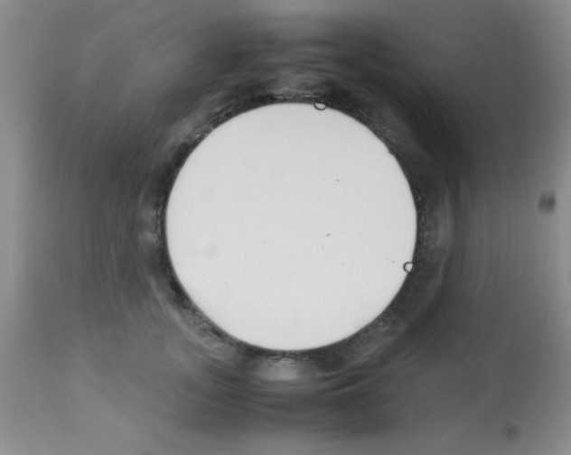 X0000113210755200910221102