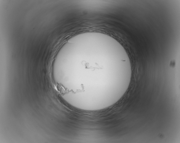 X0000113210756200910221102