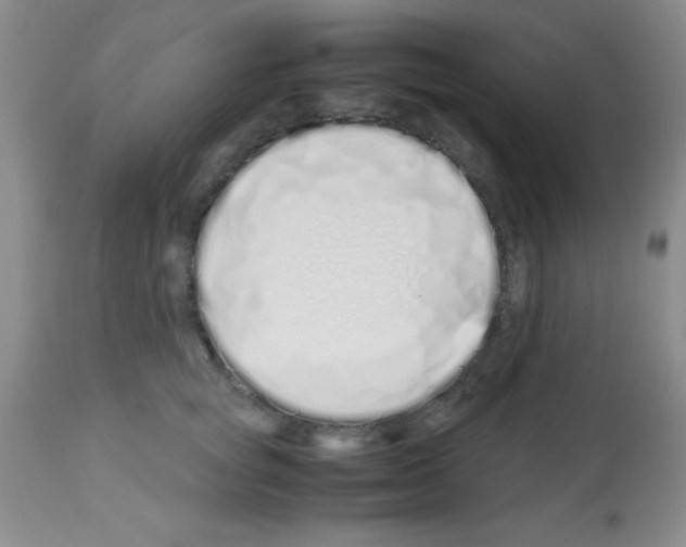 X0000113210757200910221102