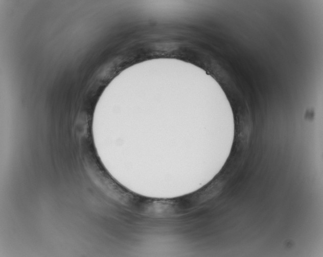 X0000113210758200910221102