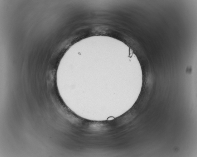 X0000113210759200910221102