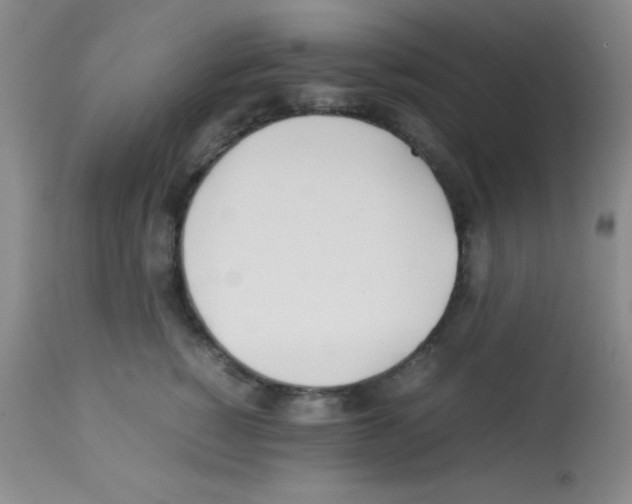 X0000113210760200910221102