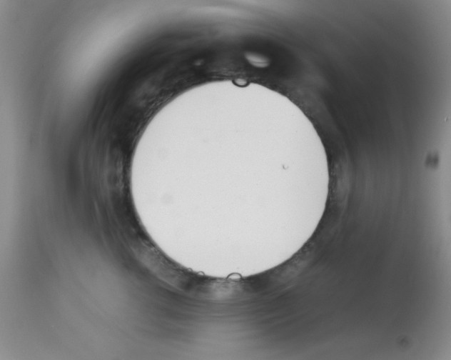 X0000113210762200910221102