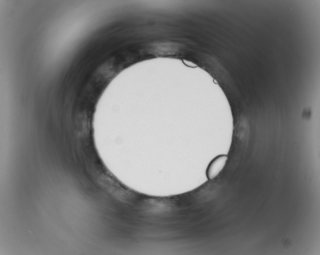 X0000113210763200910221102