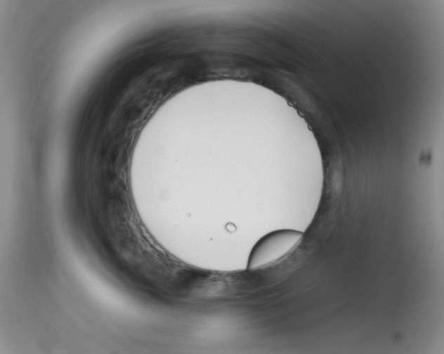 X0000113210764200910221102