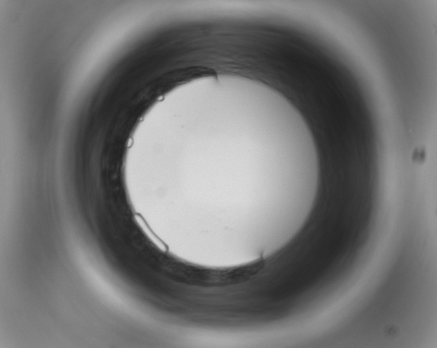 X0000113210766200910221102