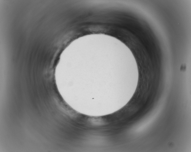 X0000113210767200910221102