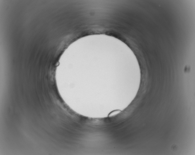 X0000113210768200910221102