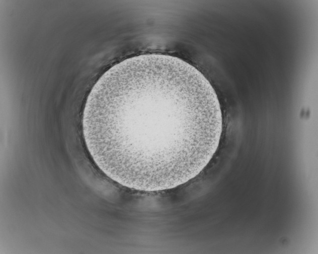 X0000113210769200910221102