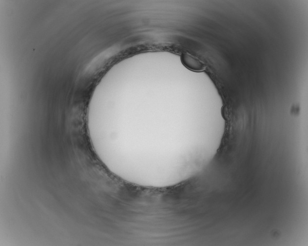 X0000113210773200910221102