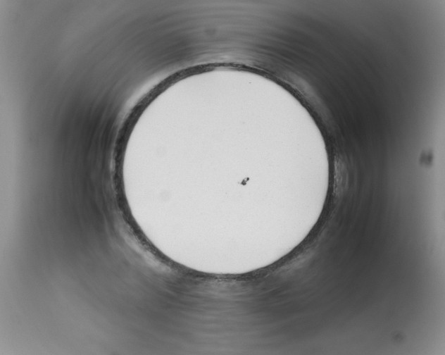 X0000113210780200910221102