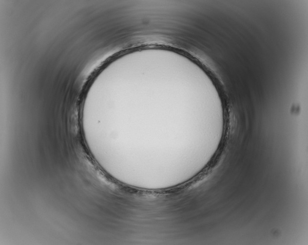 X0000113210782200910221102