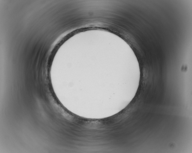 X0000113210784200910221101