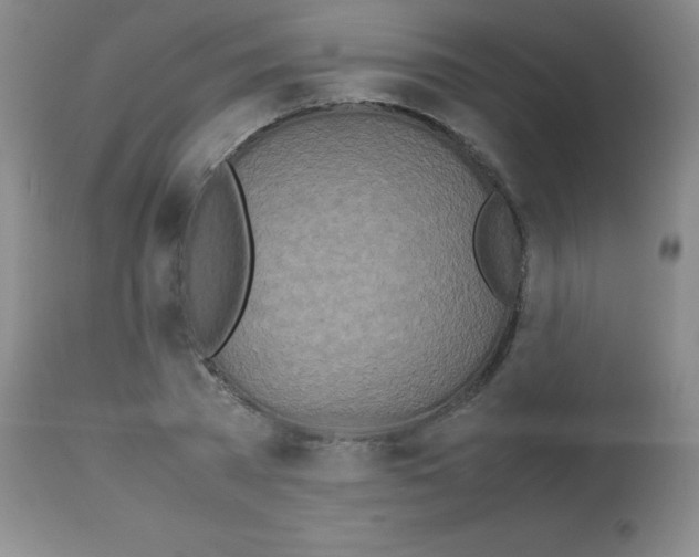 X0000113210785200910221101