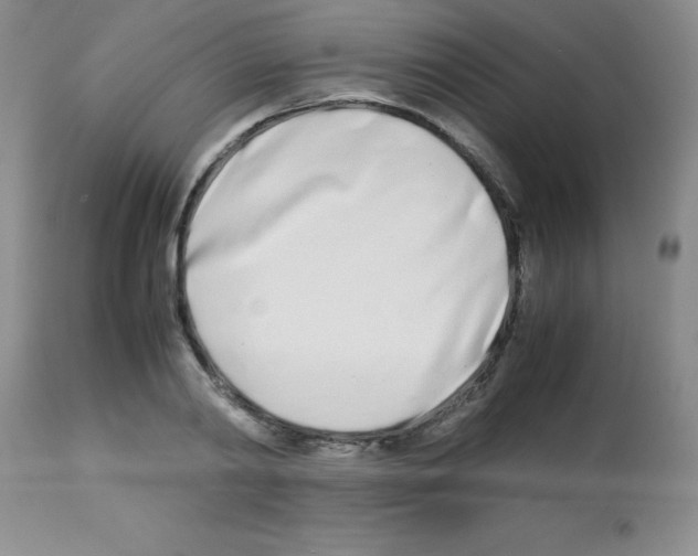 X0000113210790200910221101