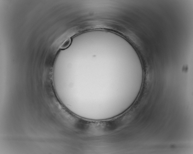 X0000113210793200910221101