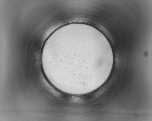 X0000113210794200910221101