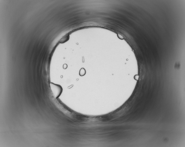 X0000113210796200910221101