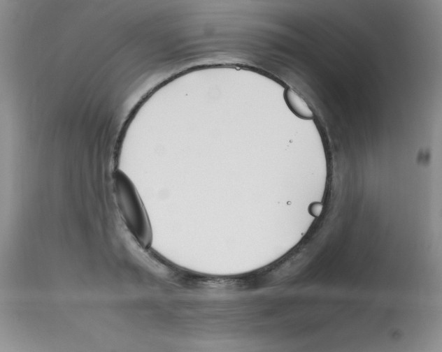 X0000113210797200910221101