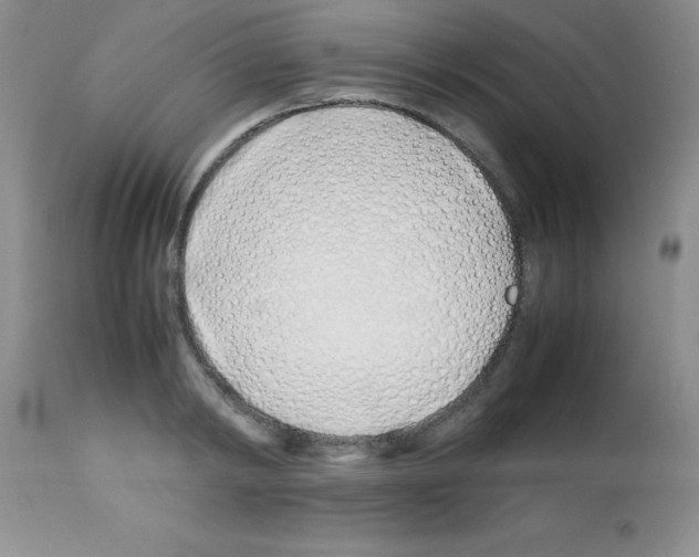 X0000113210798200910221101